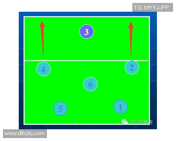 武汉排球队战术解析与对比深度剖析团队优势与不足